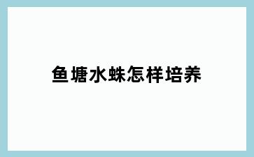 鱼塘水蛛怎样培养