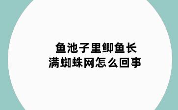 鱼池子里鲫鱼长满蜘蛛网怎么回事