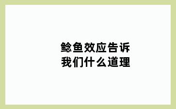 鲶鱼效应告诉我们什么道理