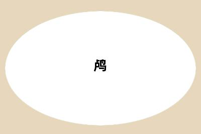 鸬