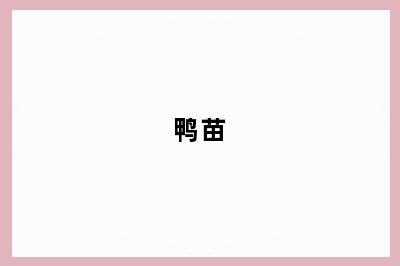 鸭苗