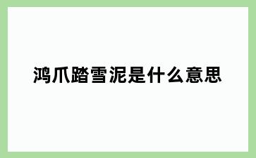 鸿爪踏雪泥是什么意思