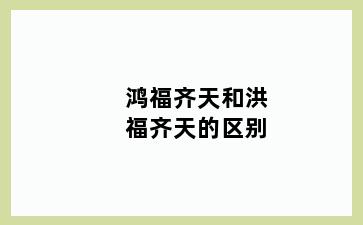 鸿福齐天和洪福齐天的区别