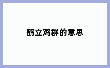 鹤立鸡群的意思