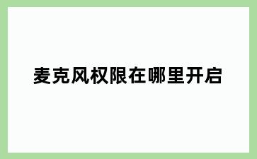 麦克风权限在哪里开启