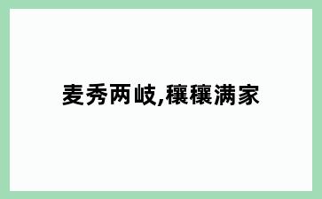 麦秀两岐,穰穰满家