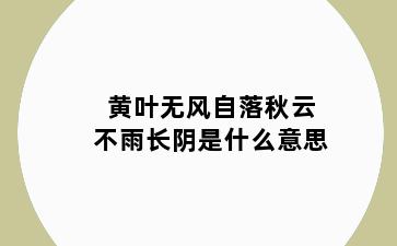黄叶无风自落秋云不雨长阴是什么意思
