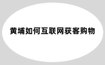 黄埔如何互联网获客购物