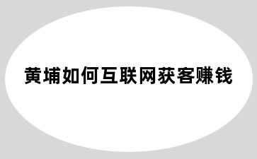黄埔如何互联网获客赚钱