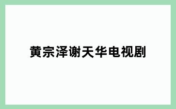 黄宗泽谢天华电视剧