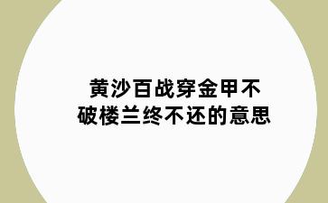 黄沙百战穿金甲不破楼兰终不还的意思