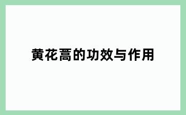 黄花蒿的功效与作用