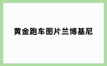 黄金跑车图片兰博基尼