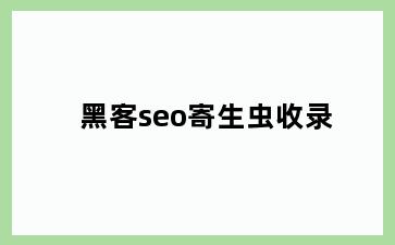 黑客seo寄生虫收录