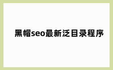 黑帽seo最新泛目录程序