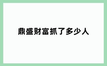 鼎盛财富抓了多少人