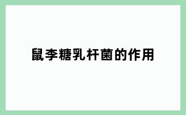 鼠李糖乳杆菌的作用