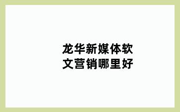 龙华新媒体软文营销哪里好