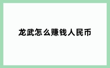 龙武怎么赚钱人民币