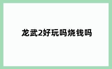 龙武2好玩吗烧钱吗