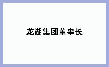 龙湖集团董事长