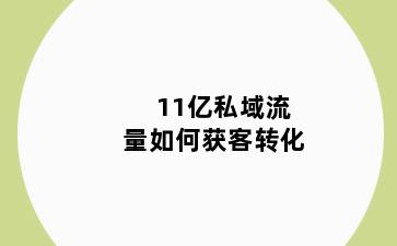11亿私域流量如何获客转化