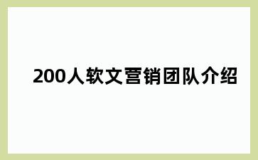 200人软文营销团队介绍
