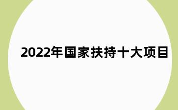 2022年国家扶持十大项目