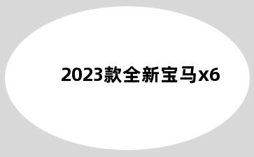 2023款全新宝马x6