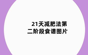 21天减肥法第二阶段食谱图片