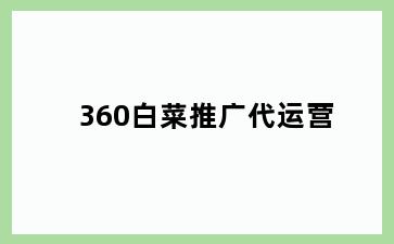 360白菜推广代运营