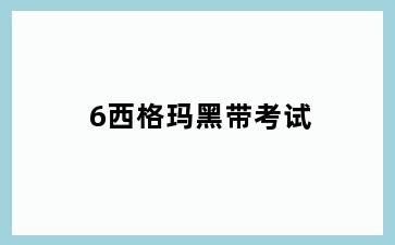 6西格玛黑带考试