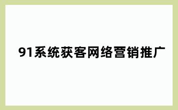 91系统获客网络营销推广