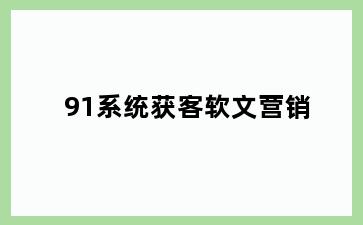 91系统获客软文营销