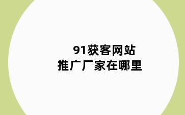 91获客网站推广厂家在哪里