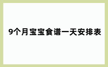 9个月宝宝食谱一天安排表