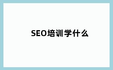 SEO培训学什么