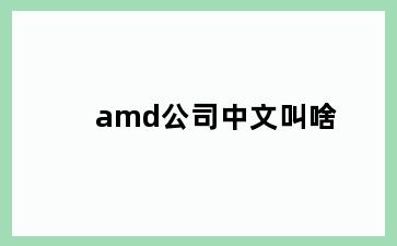 amd公司中文叫啥