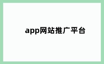app网站推广平台