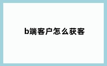 b端客户怎么获客