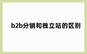b2b分销和独立站的区别