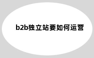 b2b独立站要如何运营