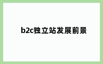 b2c独立站发展前景
