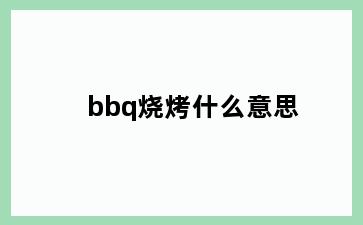 bbq烧烤什么意思