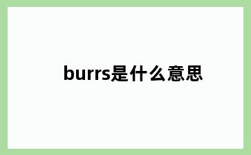 burrs是什么意思