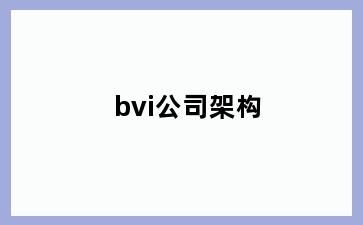 bvi公司架构
