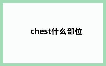 chest什么部位