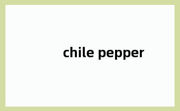 chile pepper