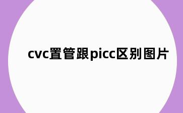 cvc置管跟picc区别图片