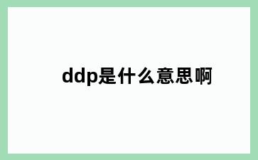 ddp是什么意思啊